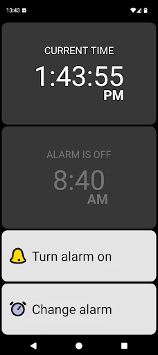 BIG Alarm for Seniors