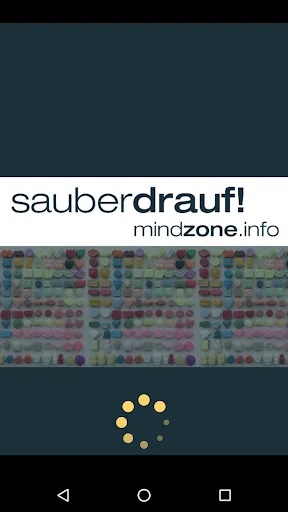 MINDZONE - sauberdrauf!