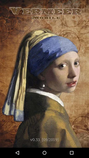 Vermeer Mobile