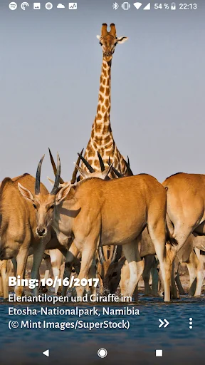 Muzei - Bing Image of the Day screenshot 3