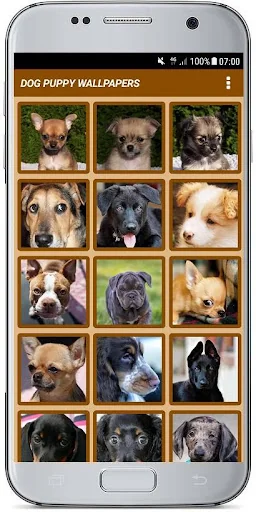 DOG PUPPY WALLPAPERS screenshot 1