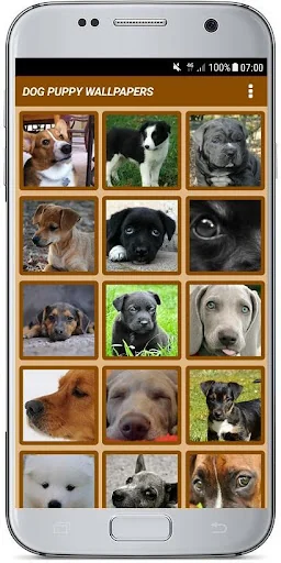 DOG PUPPY WALLPAPERS screenshot 2