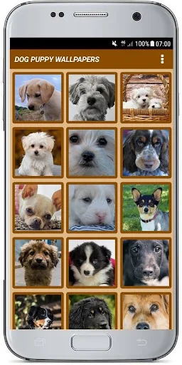 DOG PUPPY WALLPAPERS screenshot 3