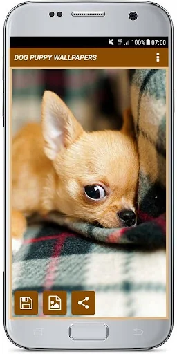 DOG PUPPY WALLPAPERS screenshot 4
