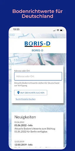 BORIS-D