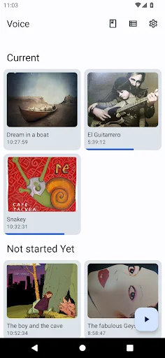 Voice Offline Audiobook Player
