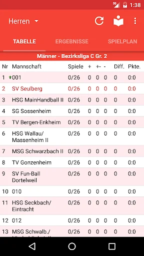SV Seulberg Handball