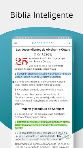 Diccionario Bíblico screenshot 4