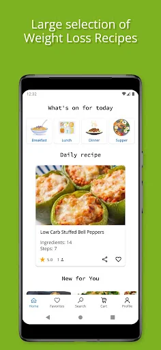 Weight Loss Recipes