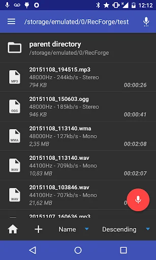 RecForge II Pro - Audio Record screenshot 1