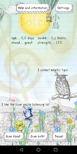 Kotori your flying friend