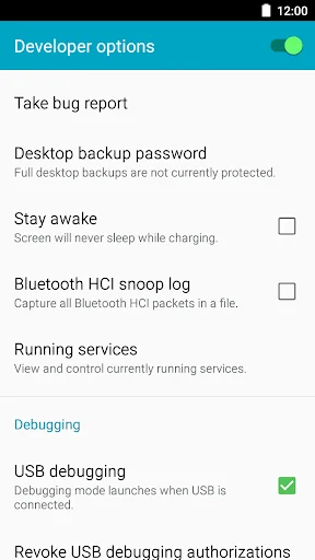 Developer Options Shortcut