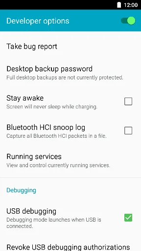 Developer Options Shortcut