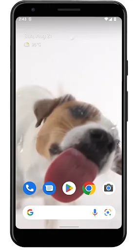 Dog Licks Screen Video Theme screenshot 1