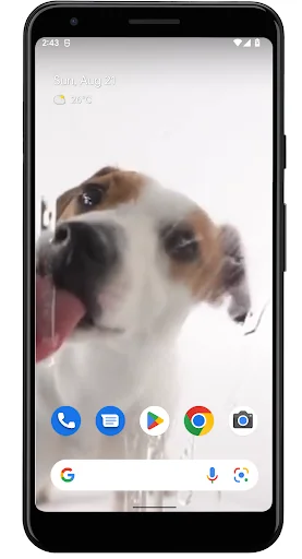 Dog Licks Screen Video Theme screenshot 2