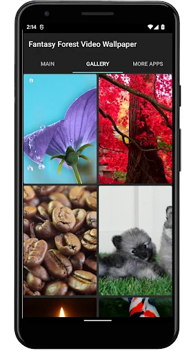 Dog Licks Screen Video Theme screenshot 3
