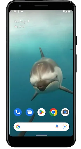 Dolphins Live Wallpaper screenshot 1