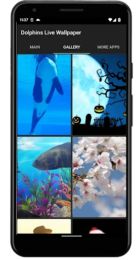 Dolphins Live Wallpaper screenshot 2