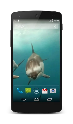 Dolphins Live Wallpaper screenshot 4