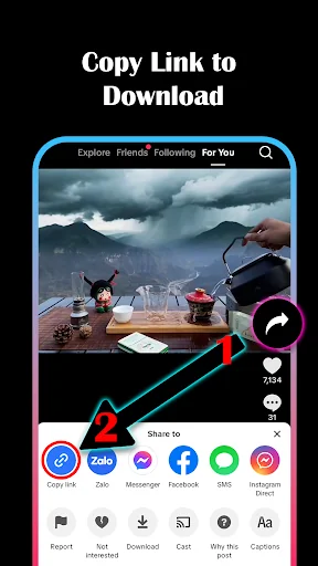 GetTik - Download No Watermark