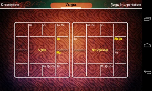 Vedic Astrology Yoga screenshot 3