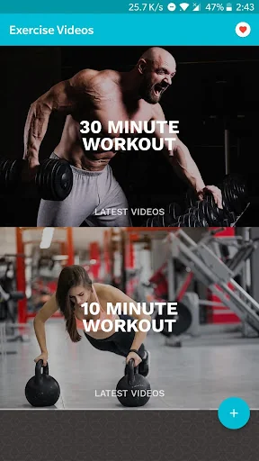 Home Workout: No Equipment