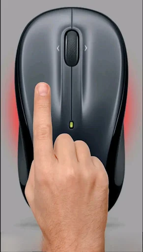 Computer Mouse