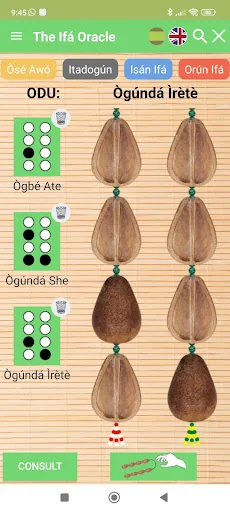 The Ifá Oracle screenshot 1