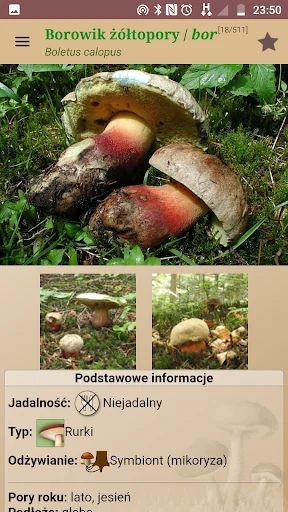 Atlas grzybów screenshot 3