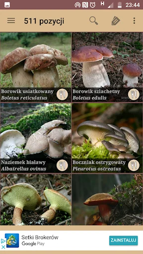 Atlas grzybów screenshot 4