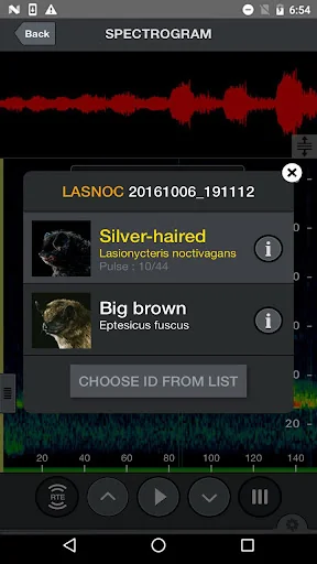 Echo Meter Touch Bat Detector screenshot 1