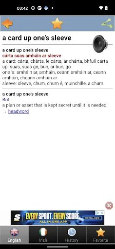 Irish foclóir Béarla Gaeilge screenshot 4