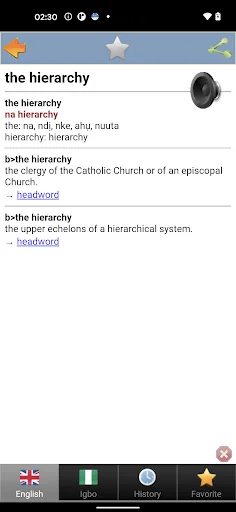 Igbo Bekee ọkọwa okwu screenshot 4