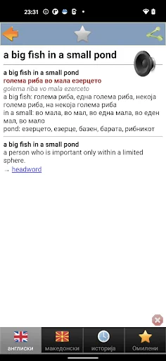 речник screenshot 4
