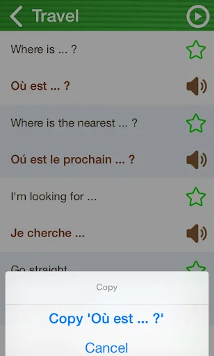 Learn French Phrasebook screenshot 3