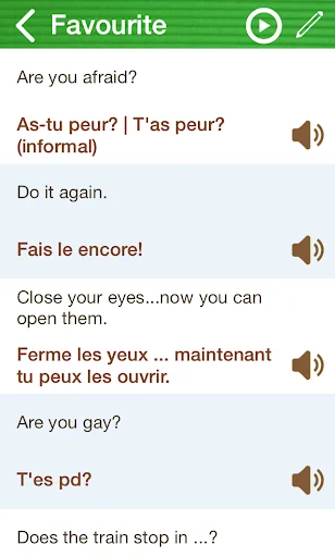Learn French Phrasebook screenshot 4