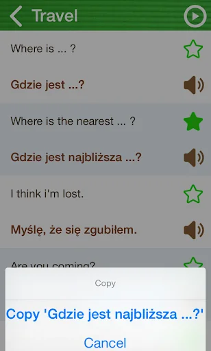Learn Polish Phrasebook screenshot 3