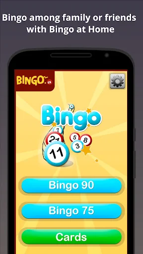 Bingo at Home