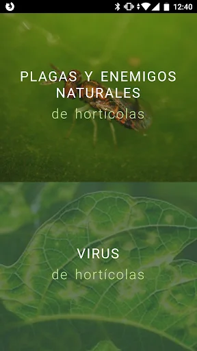 IFAPA Guía Plagas