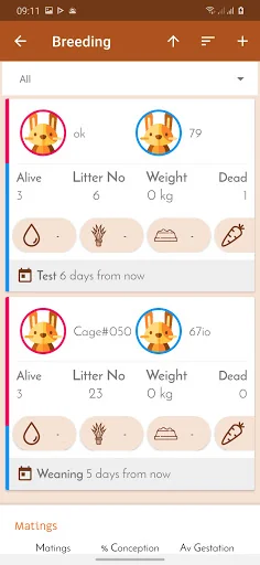 Rabbit Farm record management screenshot 3