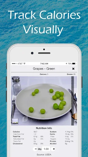 Figwee Visual Food Diary