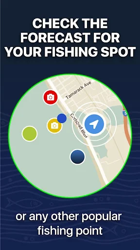 Fishing Forecast - TipTop App screenshot 4