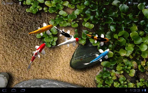 Koi Live Wallpaper screenshot 1