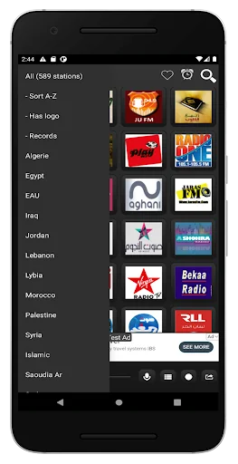 ARAB RADIO FM screenshot 3