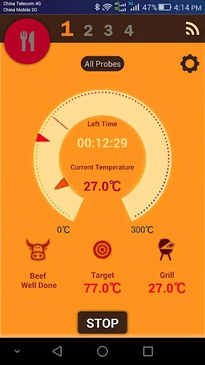 Grill ProbeE