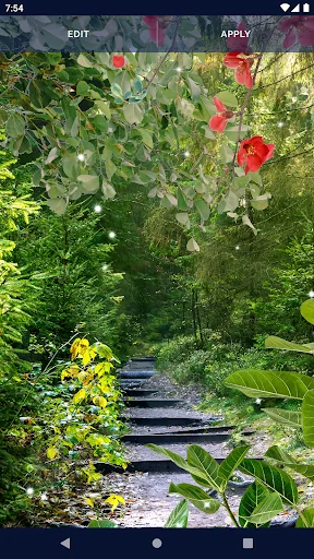 Forest Live Wallpaper screenshot 3