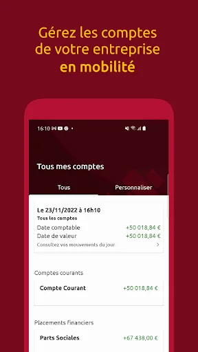Banque Dupuy de Parseval Pro