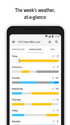 Forecaster - visual, accurate