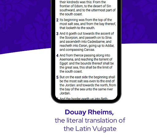 Catholic Bible Douay Rheims screenshot 2