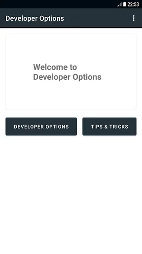 Developer Options screenshot 2